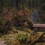 Untitled design (16)